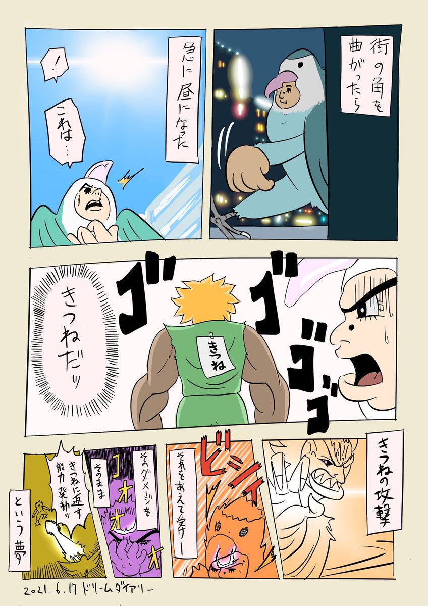 ドリームダイアリー 