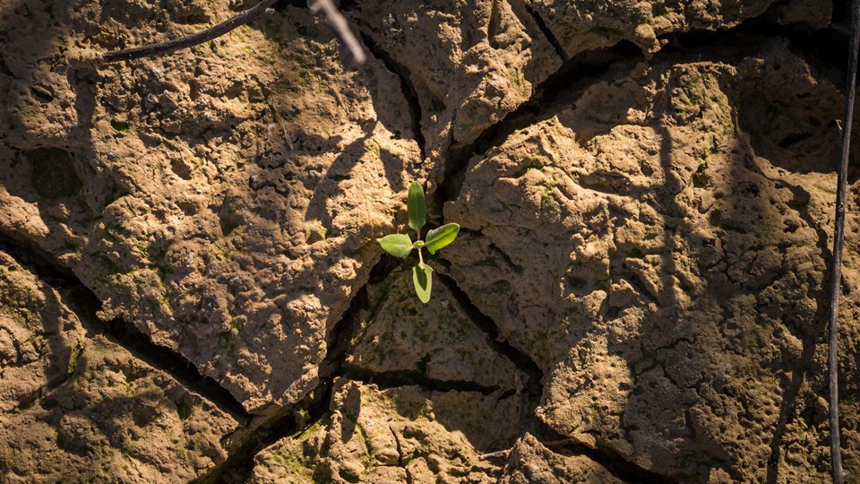 EU Environment (@eu_env) on Twitter photo #DesertificationAndDroughtDay
This is Asia
or Africa, America, Europe
We are all impacted
When we act together, there is hope 🌱
This is why the 🇪🇺 supports the <a href="/GreenWallAfrica/">Great Green Wall</a>
This is why we stand for ambitious
#CoP15
#CoP26
#UNCCDCoP15
#ForNature & all 🌏 citizens #DesertificationAndDroughtDay
This is Asia
or Africa, America, Europe
We are all impacted
When we act together, there is hope 🌱
This is why the 🇪🇺 supports the <a href="/GreenWallAfrica/">Great Green Wall</a>
This is why we stand for ambitious
#CoP15
#CoP26
#UNCCDCoP15
#ForNature & all 🌏 citizens