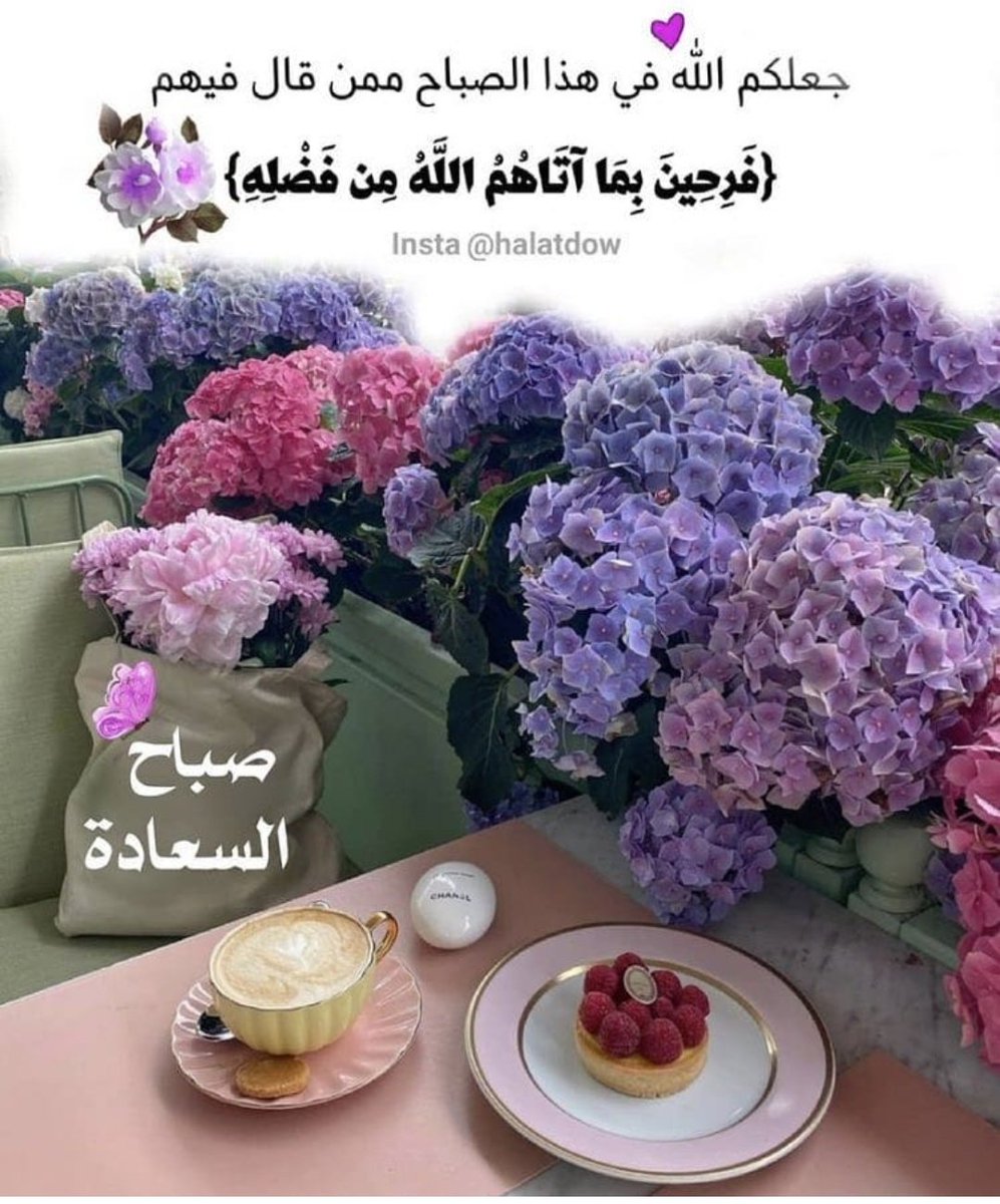 Noontobe1's tweet photo. @y_she7i https://t.co/GLoy9E086u