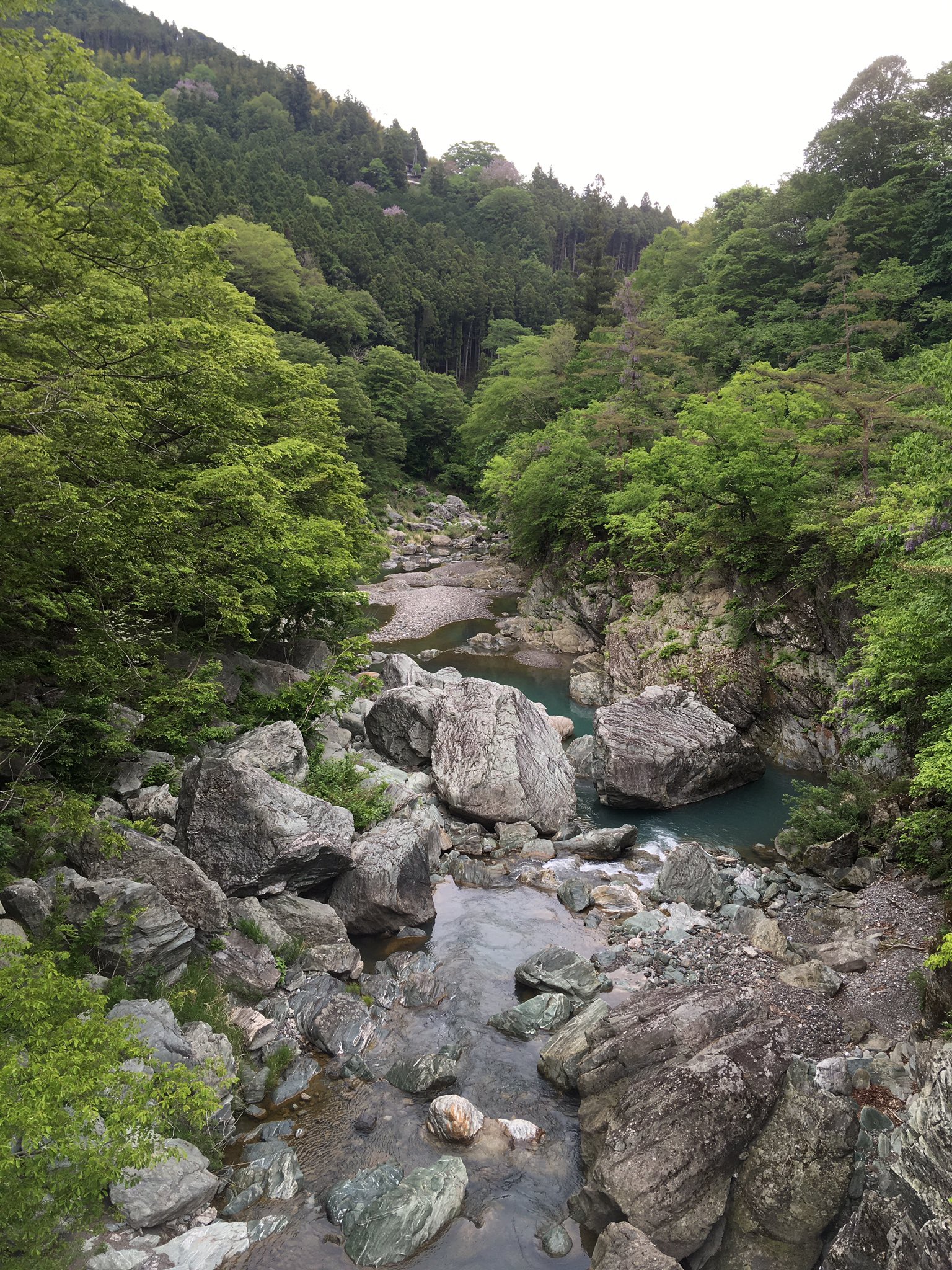Kouhei Yarita 旅写真on Twitter 玉置山 旅写真https T Co 0xk4hzaqql Twitter