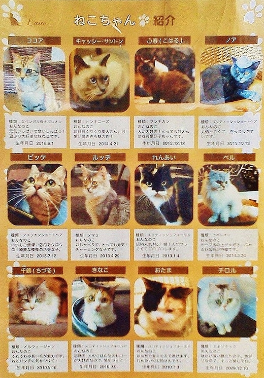 大野田健 V Twitter ねこカフェ 猫酒場 Latte らて 新潟県長岡市 Jr東日本 上越新幹線 長岡駅前 安栄館ビル4f 猫又権現 南部神社 栃尾地域 お札 500円 お取扱中 道の駅 R290とちお 同 赤ちゃん ばさじさgo 県立動物愛護センター 猫ちゃん 大野田健 V Twitter ねこカフェ 猫酒場 Latte らて 新潟県長岡市 Jr東日本 上越新幹線 長岡駅前 安栄館ビル4f 猫又権現 南部神社 栃尾地域 お札 500円 お取扱中 道の駅 R290とちお 同 赤ちゃん ばさじさgo 県立動物愛護センター 猫ちゃん