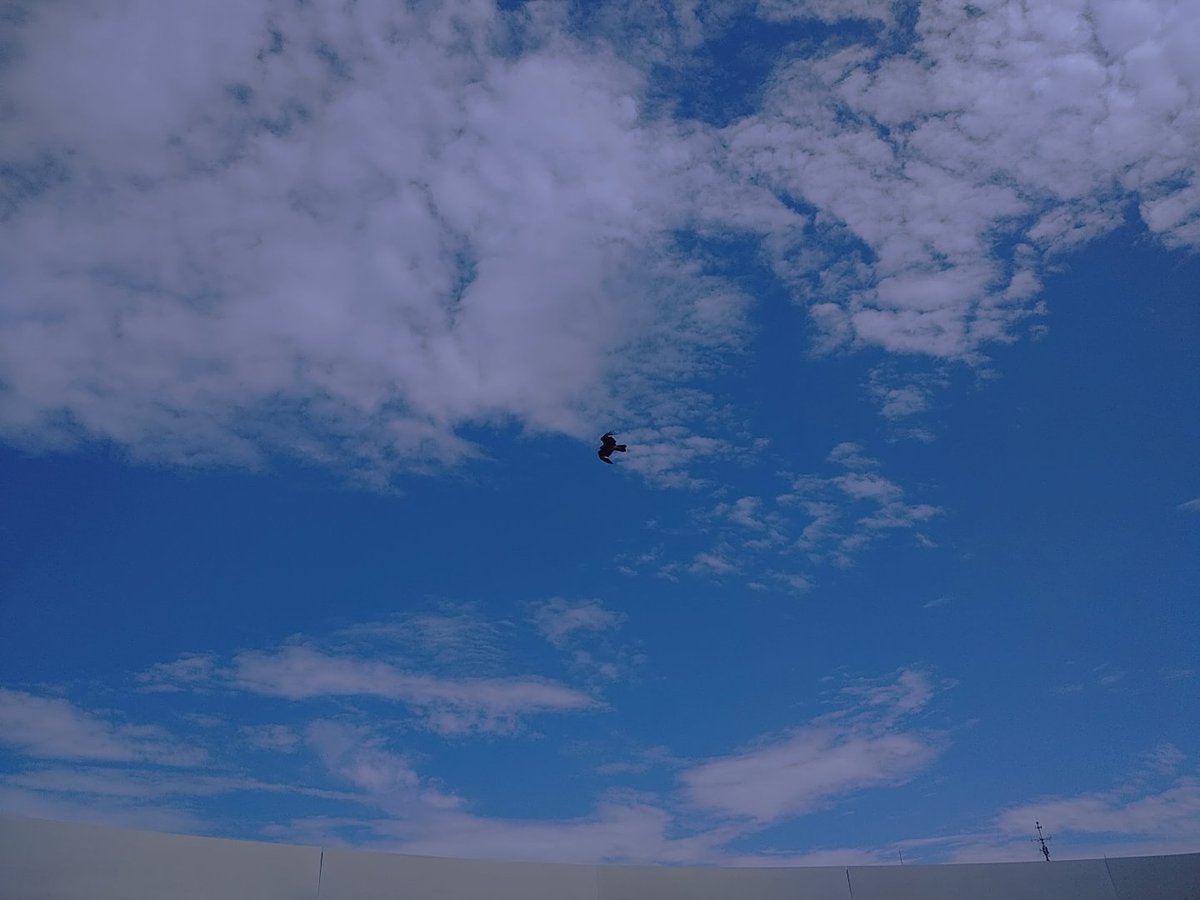 sakichi0913's tweet photo. "#CONNECTION"を
再生しながら近所を散歩👣✨

空を見上げて聴く
"#Sky_Line"

より心に響く♡

聴いてほしいな…
色んな人に

#UP10TION https://t.co/aKwS93qTtj