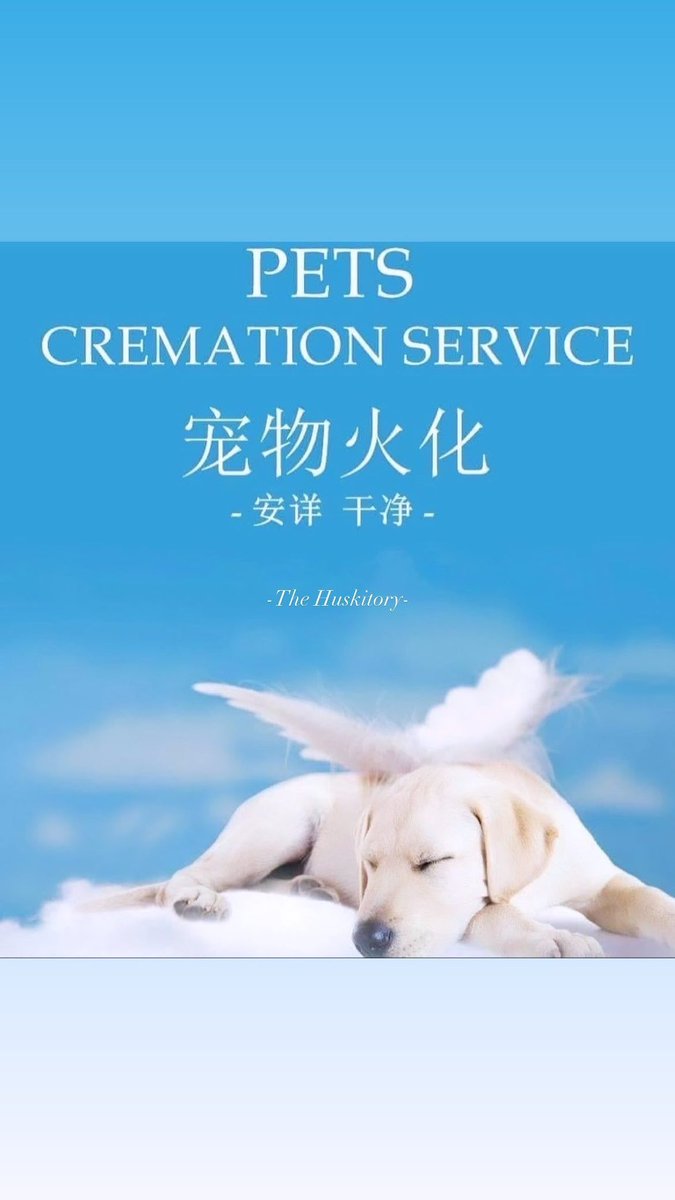 THuskitory's tweet photo. 👼Huskitory Cremation Services 
🐕宠物火化服务🐈
☁️让毛孩干净安祥，往极乐净土奔跑☁️
Info：
📞Call 06-3342602 
📲WhatsApp :  +6011-5500 2602 
🌏 The Huskitory

#cremation #petcremation #dogcremation #melaka #malaysia https://t.co/yn50ChgPtV
