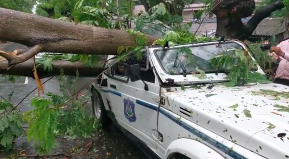 ConnectGujarat's tweet image. નવસારી શહેરના એરુ ચાર રસ્તા પાસેની ઘટના....
પોલીસ કચેરીથી મેન્ટેનન્સ માટે જતી જીપ પર વૃક્ષ પડ્યું....
વૃક્ષ પર પડતાં જીપને થયું ભારે નુકસાન. અંદર બેસેલા ડ્રાઈવરનો થયો આબાદ બચાવ....
વરસાદ દરમિયાન ભારે પવનના કારણે  વૃક્ષ પડ્યું....

#Navsari #TreeFell #RainFall #Gujarat #CGNews