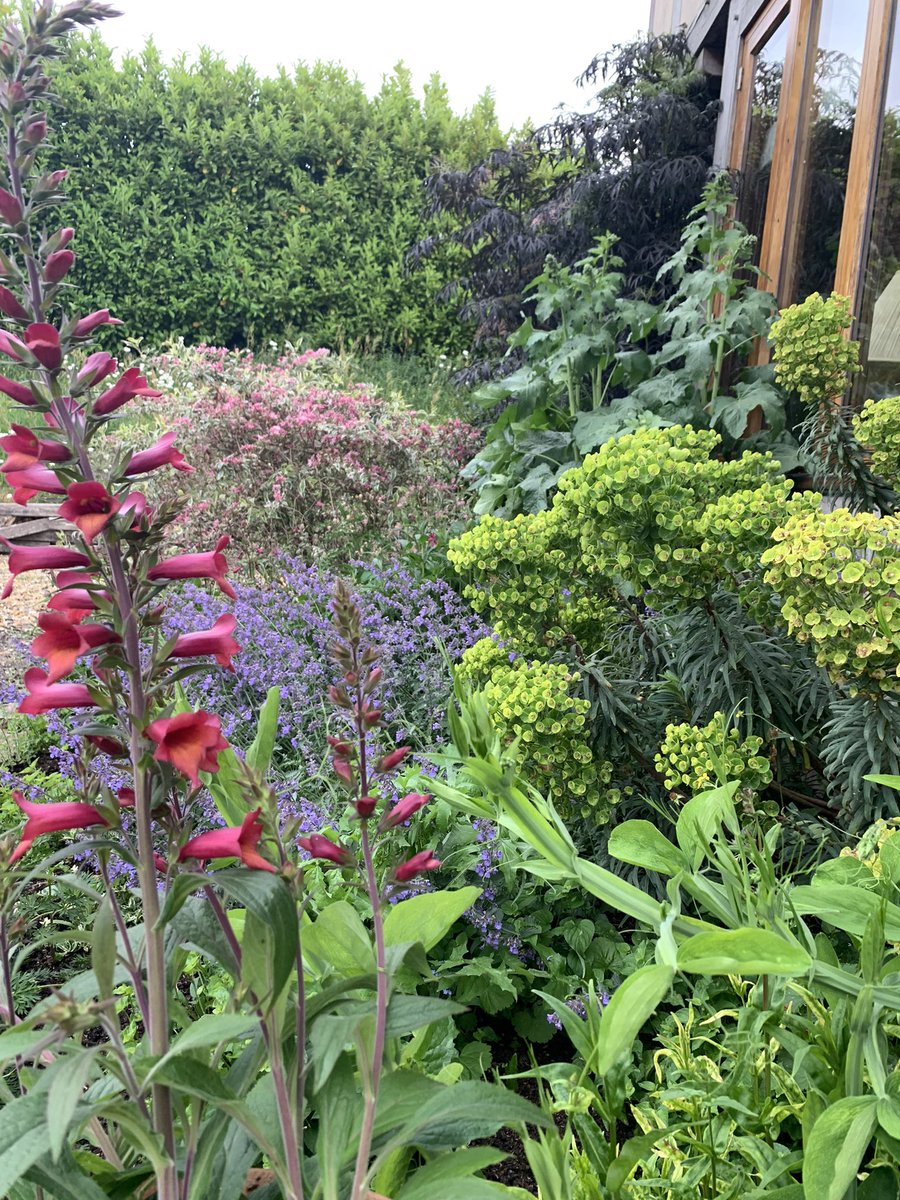 FullGrowing's tweet photo. Love to see the colours emerge at this time of year https://t.co/rK2Z3cTAHM