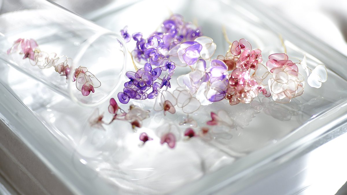 アメリカンフラワー Lang Ja Twitter Search