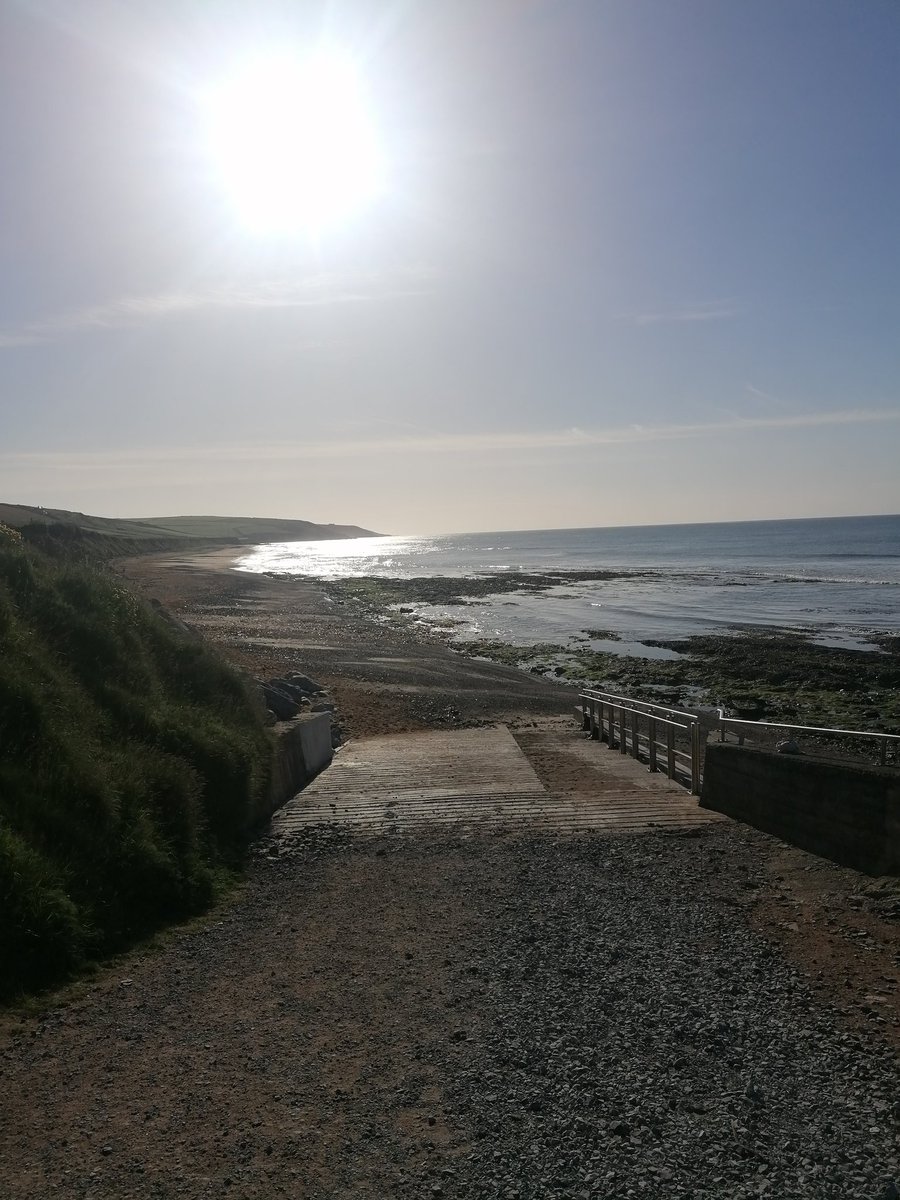 RunFree82 tweet media