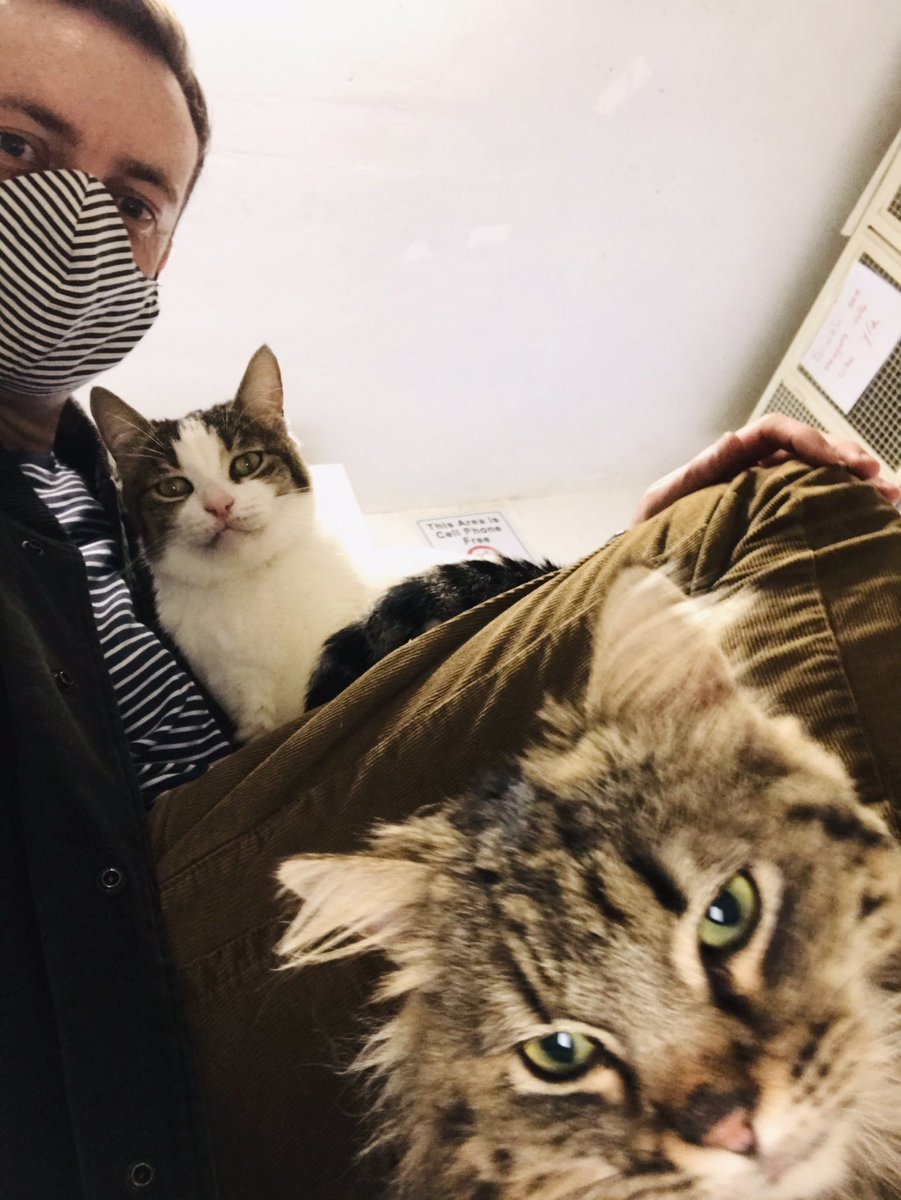 Brendan Patricks Actor Magician tweet media