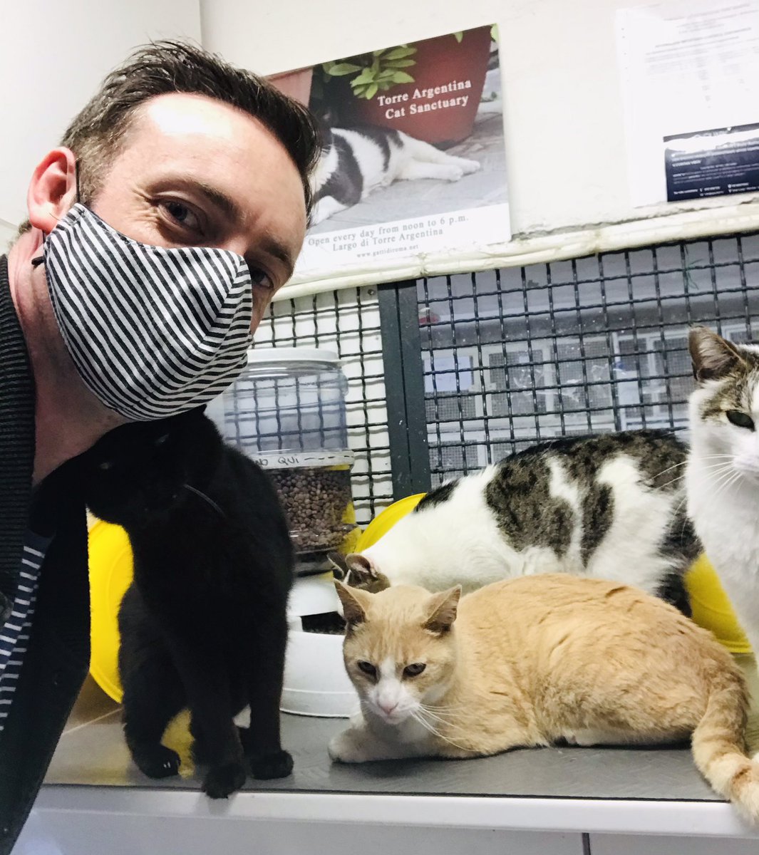 Brendan Patricks Actor Magician tweet media