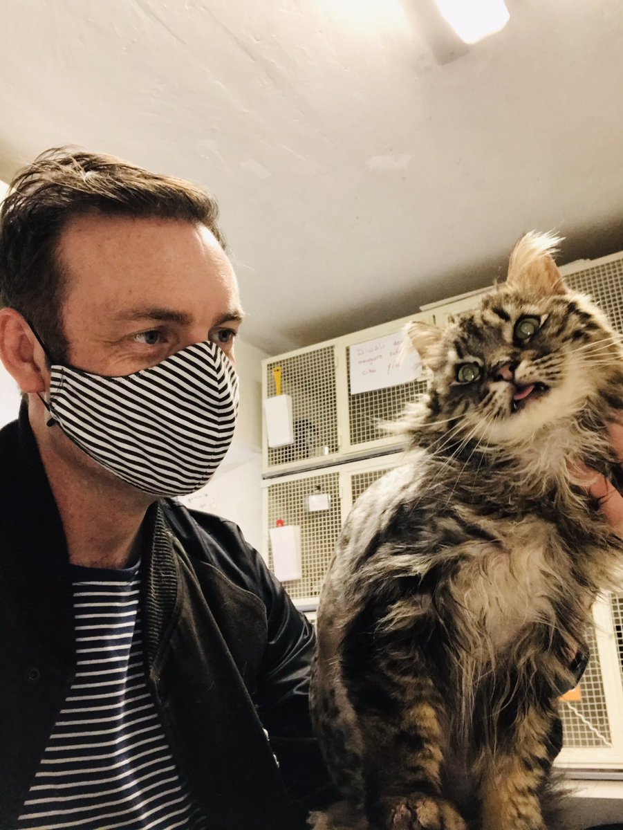 Brendan Patricks Actor Magician tweet media