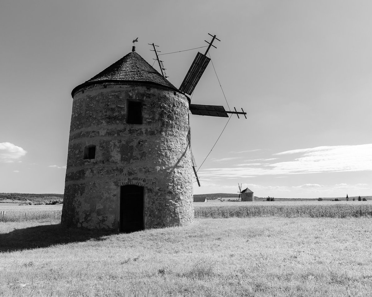 MichaelTh1985's tweet photo. Windmills in the sun
#windmill #windMühle #landscapephotography #landscape #blackandwhitephotography #landschaftsfotografie #hungary #canonphotography https://t.co/jJGLaVTwLs