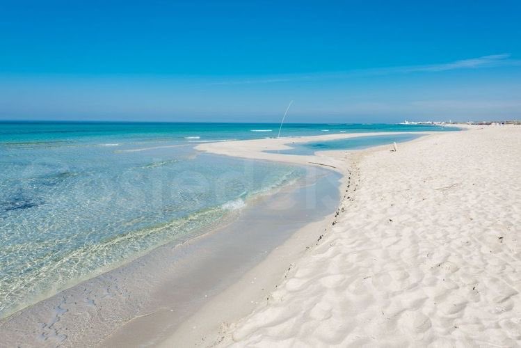 VIP Visit Italy tweet media