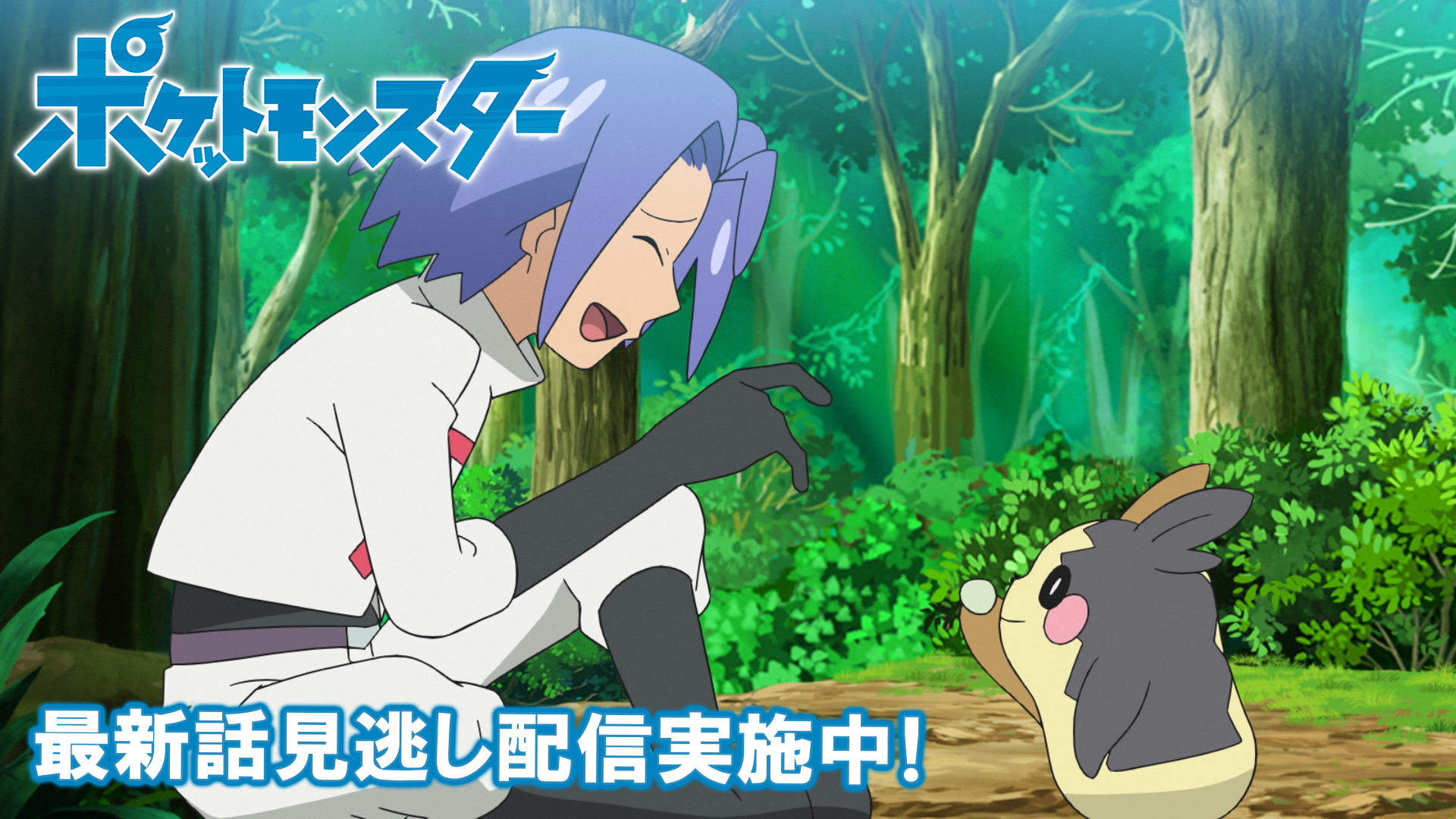 ポケモン公式 على X: 