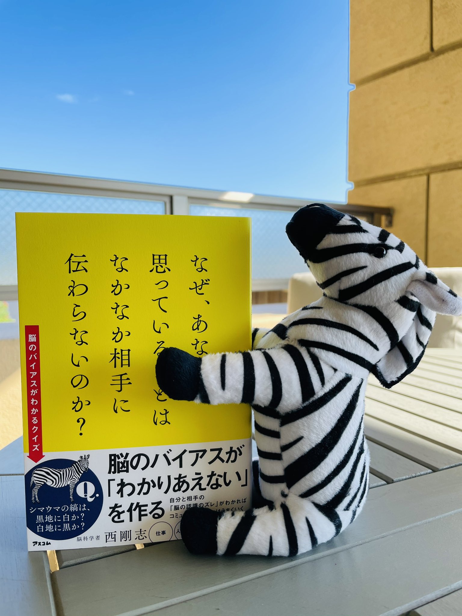 出版社アスコム 公式 書店様からも西先生からも大好評の シマウマパネル ご希望の書店様は 本アカウントまたはアスコム営業局 Ascom 04 までお気軽にお問い合わせください 同じものを見れば同じように見えるだろう ということが すでに
