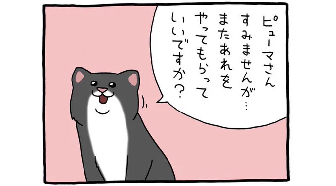 4コマ漫画レジネコ。カシャカシャ(それを撮影する猫大好き店長)レジネコ #キューライス 