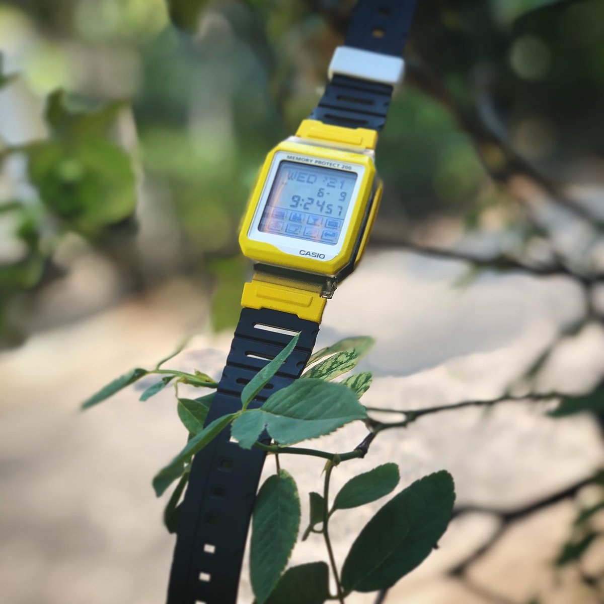 Masih ready .. 
ig —> @shockaholix

#casiovintage