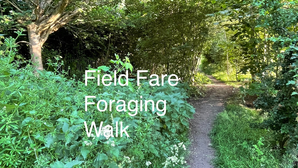 Field Fare Foraging Walk and other news from We Create - mailchi.mp/cae76a8d88ee/f…