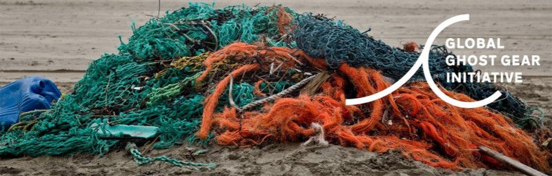 planet_tracker's tweet photo. If Japanese fishing companies adopted &amp; implemented formal policies on #ghostfishing, assessed its impact on revenue and profits and joined the @GGGInitiative, they could both improve their #sustainability credentials and generate higher revenue https://t.co/lSPetfKpli #ghostgear https://t.co/hitafi4AZ6