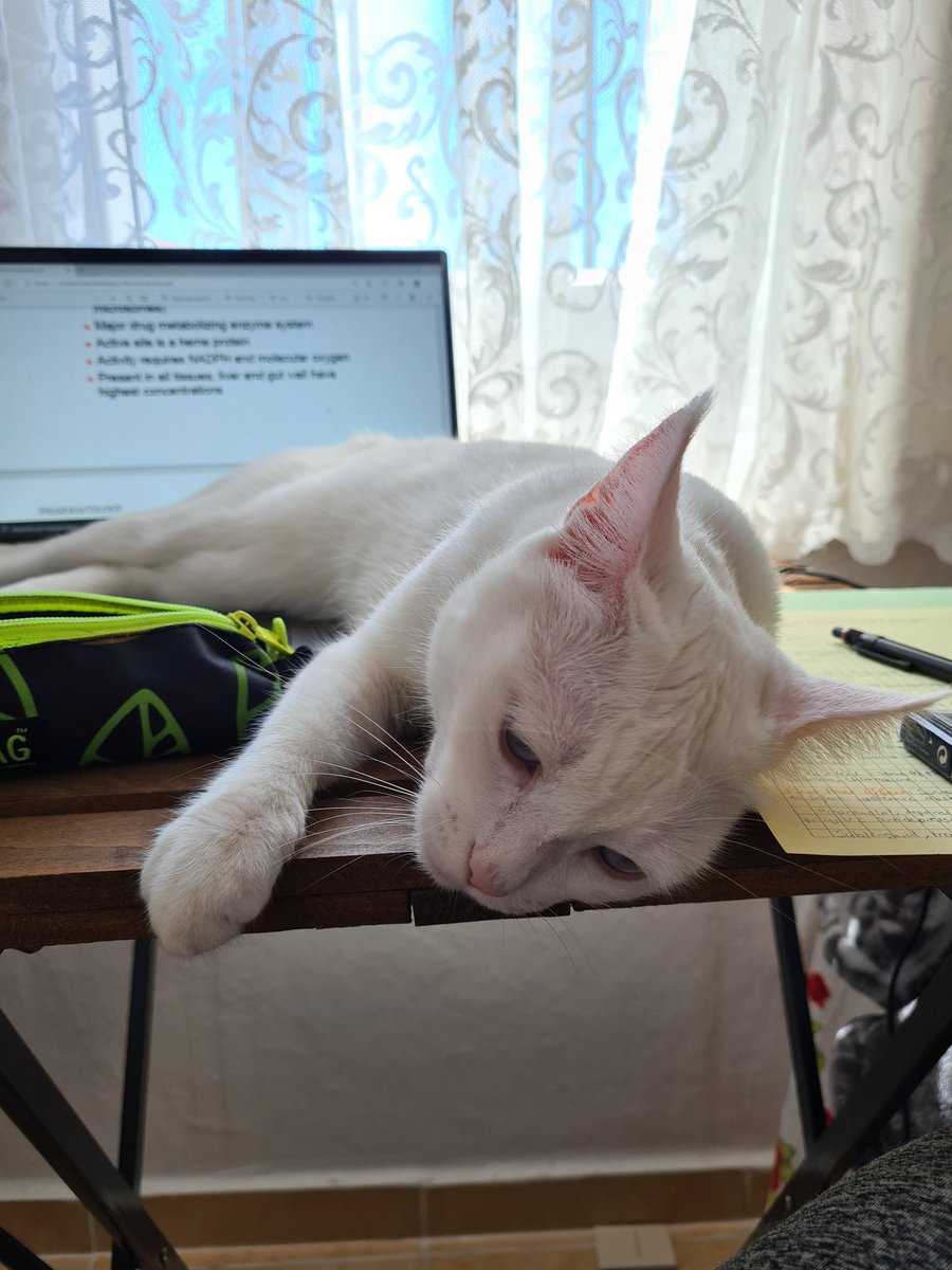 Sınava 1 gün kala modum ektedir