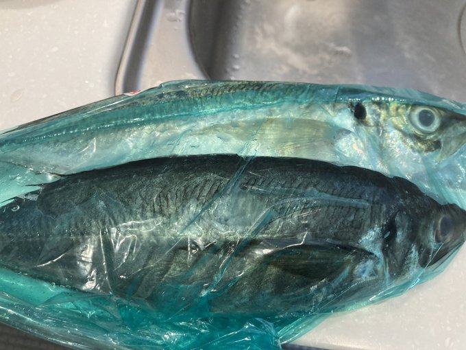 Macarel727さんのイラストまとめ