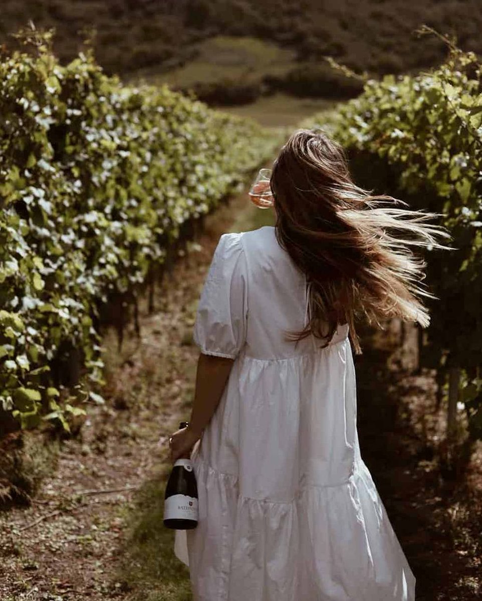 SussexModern's tweet photo. ๐ฃ Meanwhile, over on Instagram...
We're having a Sussex wine solstice party next Monday, 21 June. Fancy joining in?
Follow @SussexModern and tag #MidsummerModern in your solstice celebrations. See you in the highlights!
๐ https://t.co/ixdxN4PwFF https://t.co/qicOW3ECWa