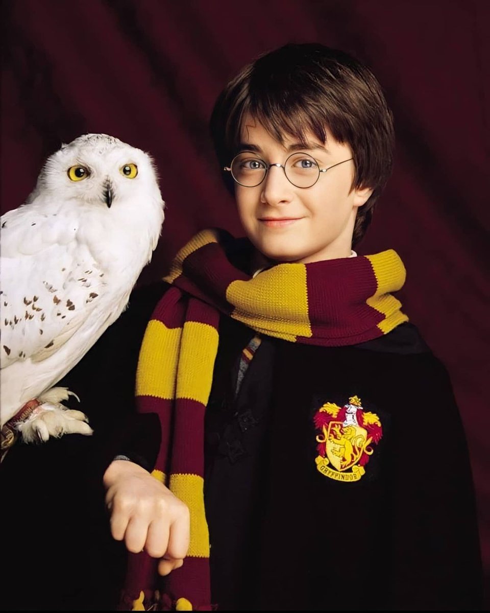 Dwksel_'s tweet photo. 기여운내새끼..... https://t.co/trXfwrY1mv