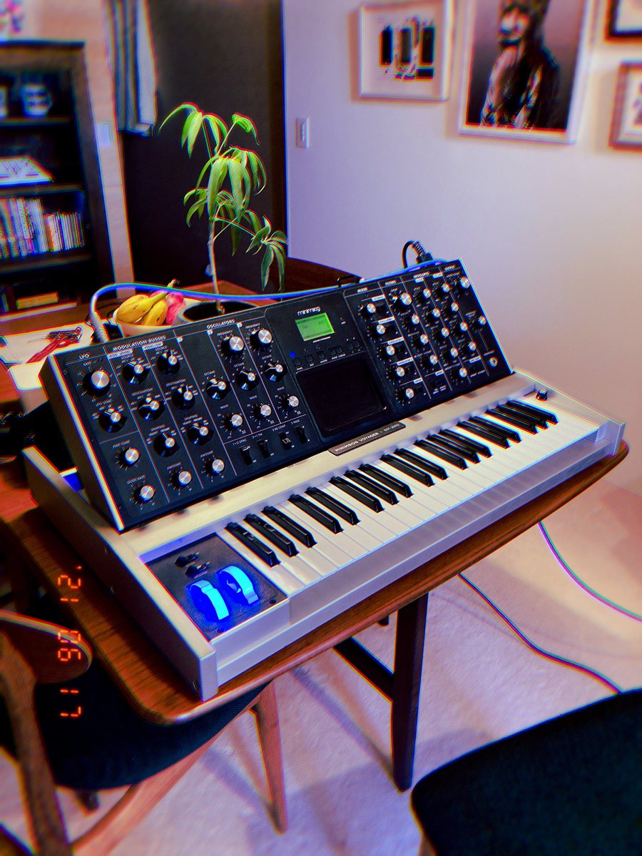 juveniletalkbox's tweet photo. 実戦投入中 #moog #minimoog #minimoogvoyager
@takudj さんと! https://t.co/KILXRI0oBU