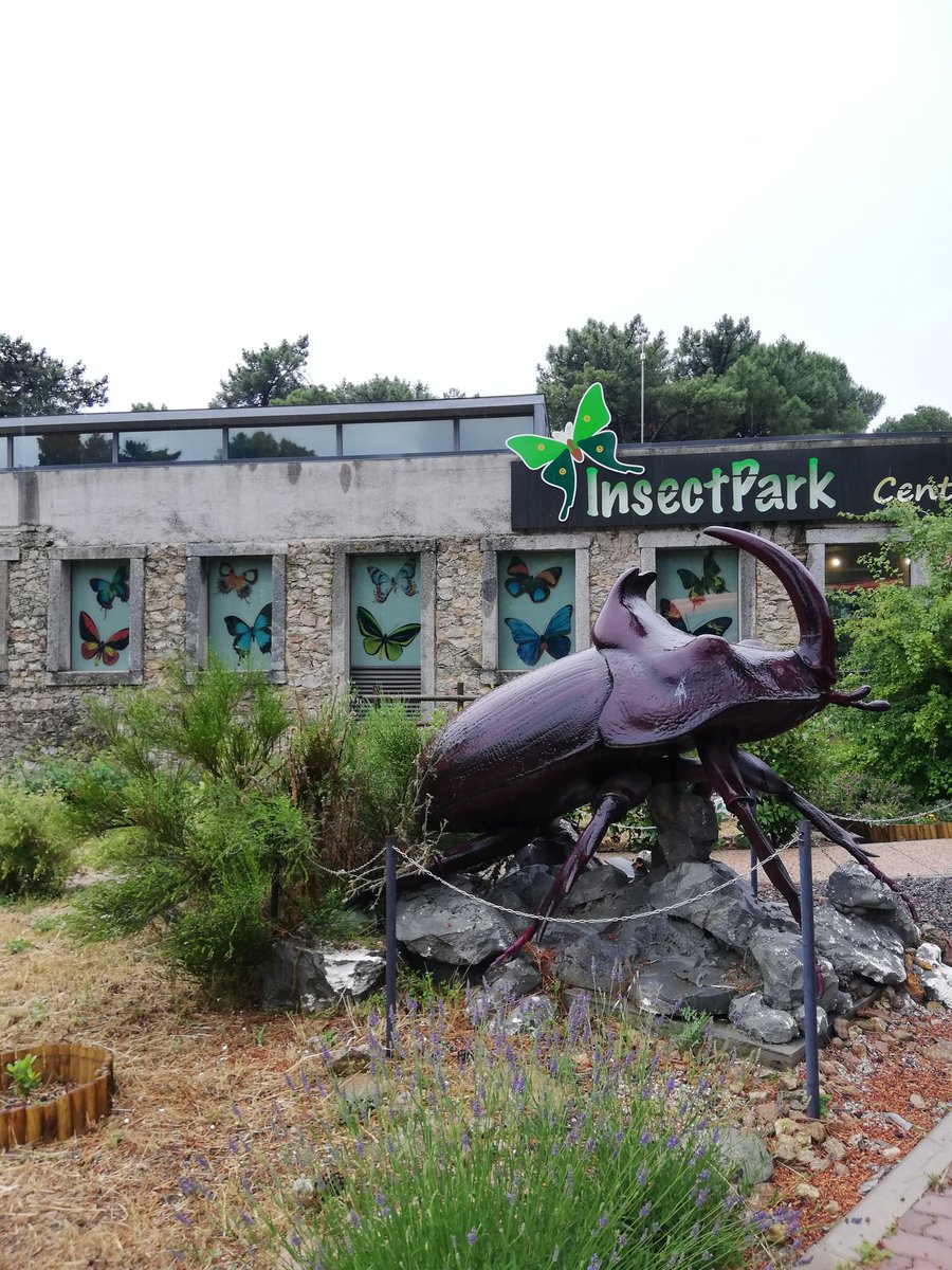 ¡Ya hemos llegado! Con ganas de disfrutar muchísimo 😃 #insectpark #policías