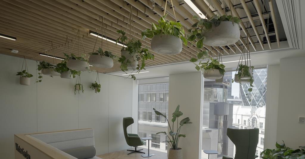 Arcadis workplace culture