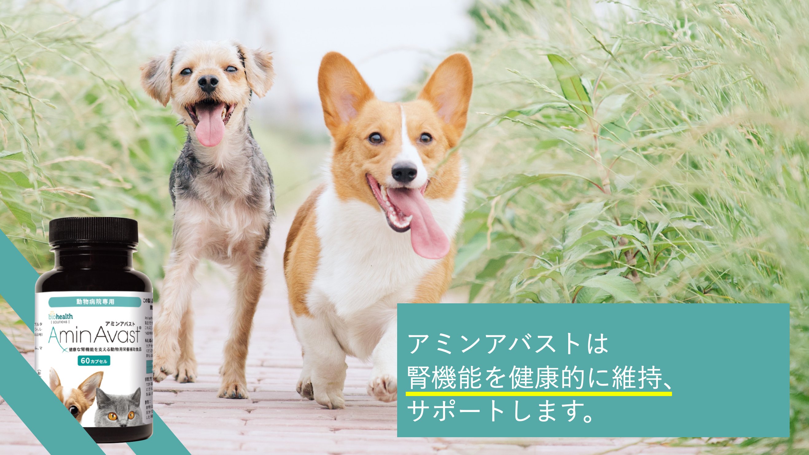 アミンアバスト®︎ (@Aminavast_Japan) / X アミンアバスト®︎ (@Aminavast_Japan) / X