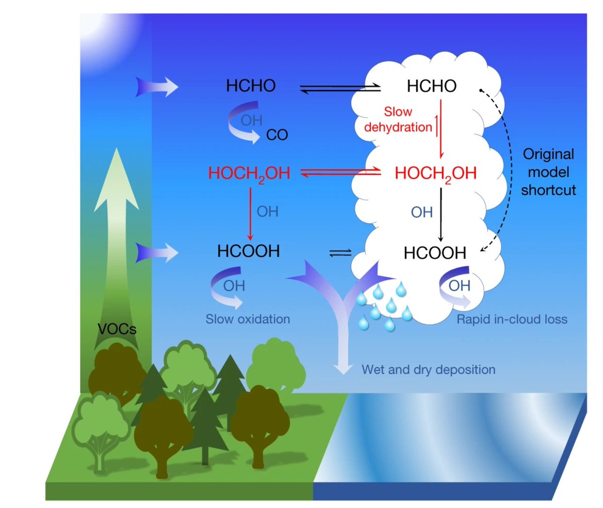 #ESM research on <a href="/Nature/">nature</a>! Read about the great collaboration of #ESM colleagues <a href="/fz_juelich/">Forschungszentrum Jülich | @fzj@social.fz-juelich</a> &amp; researchers around the globe investigating the #chemical processes of the formation of formic acid in the #atmosphere and its impact on other processes 🌐🌏 esm-project.net/news/news/deta…