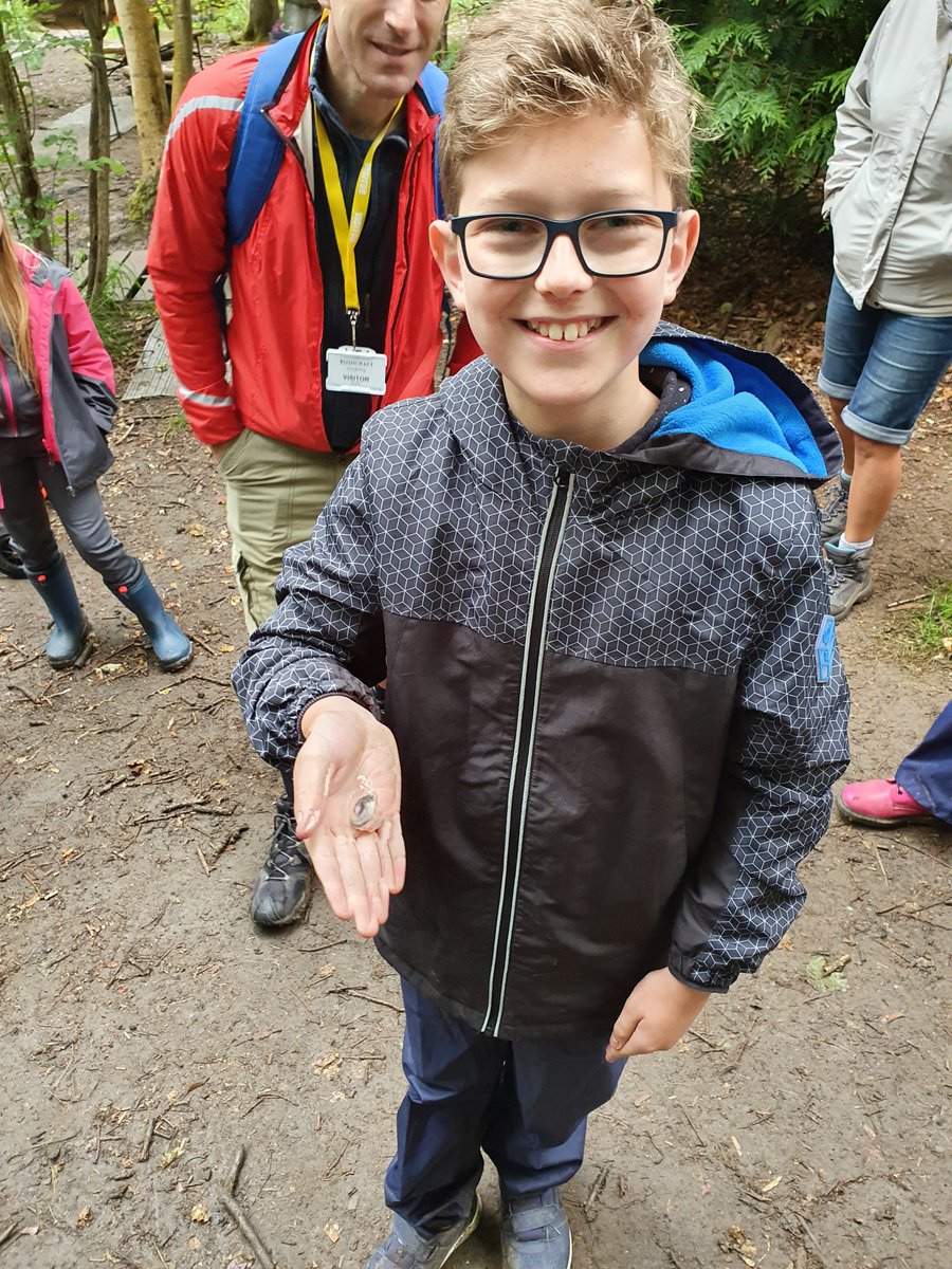 Willingham P School tweet media