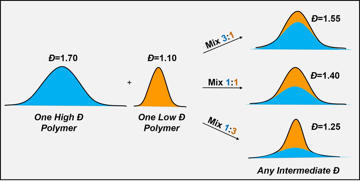 Want to get any possible dispersity value (accuracy to the nearest 0.01) but too lazy to synthesize 20 polymers? Then just make 2 and blend them😀 Congratulations to @whitfield_rich for his recent work published in @angew_chem! Link: onlinelibrary.wiley.com/doi/10.1002/an…