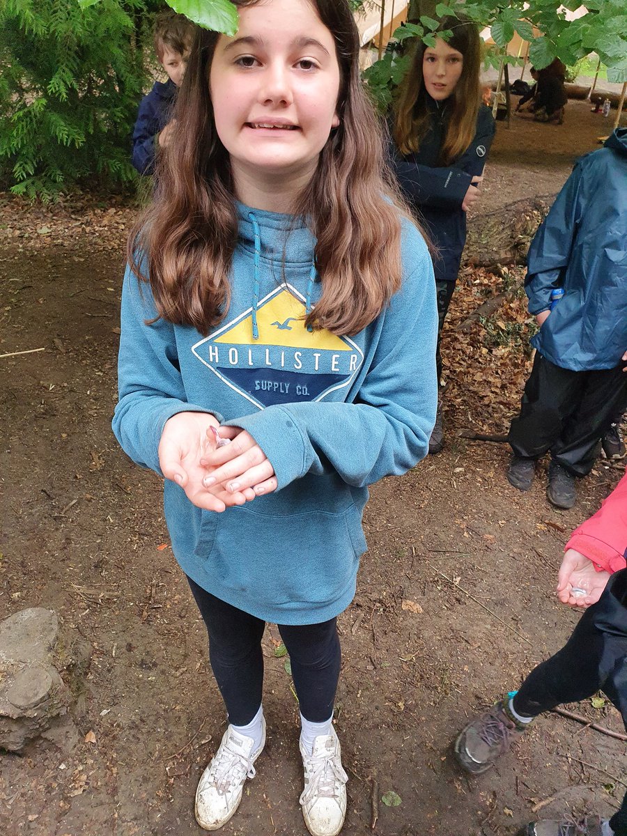 Willingham P School tweet media