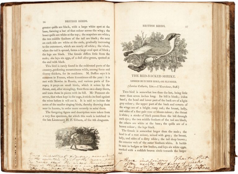 Nick_Holland_'s tweet photo. BREAKING NEWS! (I don't often get the chance to type that). Sotheby's have suspended the July auction of the Honresfield Library containing Bronte treasures. They're helping negotiate a deal for these wonderful items to be bought for the nation! Really great news! https://t.co/7IFqpeKUHV