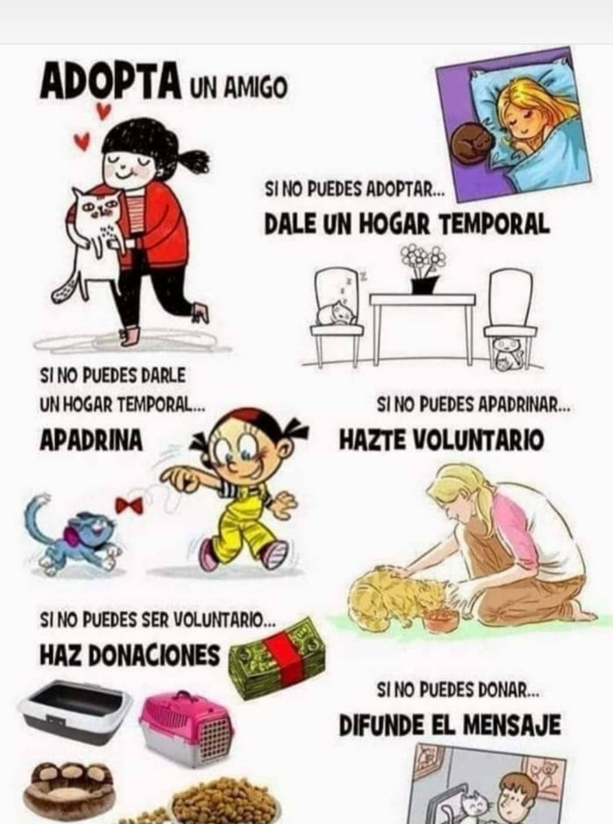 DonaloAnimals's tweet photo. ¡¡ACTÚA!!🙏
Salva una Vida🐾❤ https://t.co/ggTrDBKdfQ