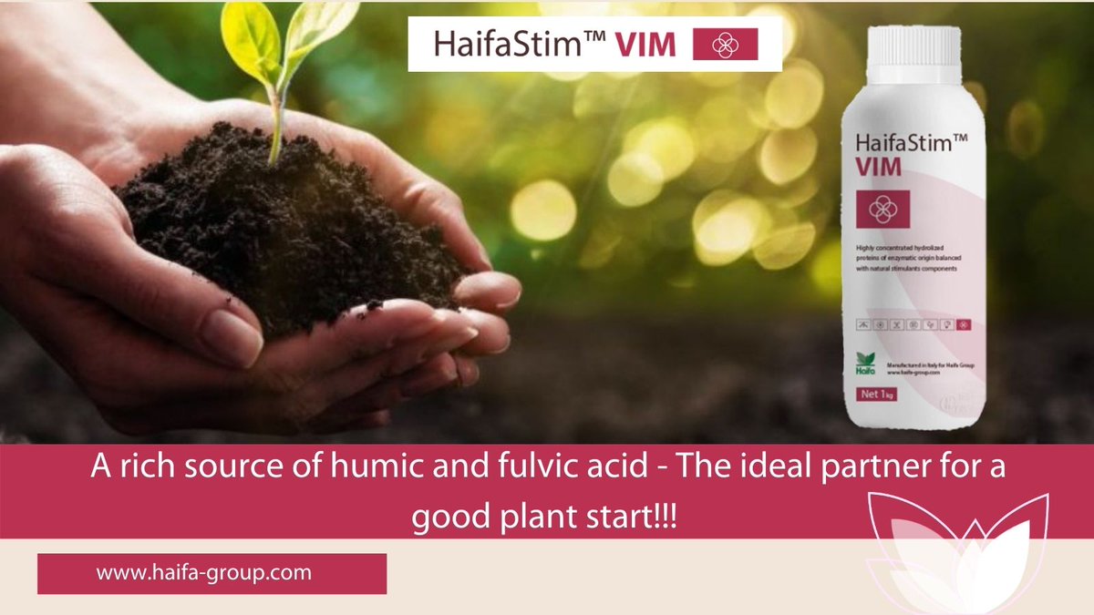 Haifa_SEE's tweet photo. HaifaStim™ VIM A rich source of humic and fulvic acid - The ideal Partner for a good plant start!!! #HaifaStim #VIM #HaifaSEE
For more information visit our website: https://t.co/7JD0CcZywA https://t.co/0APfQuASaj