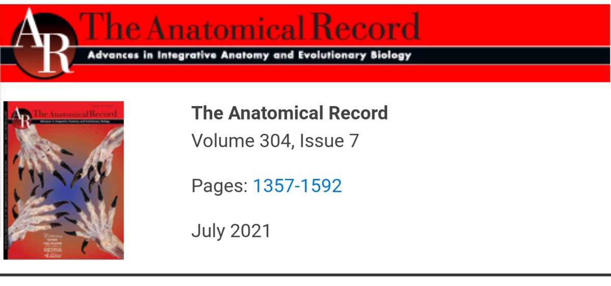 Natalie Warburton tweet media