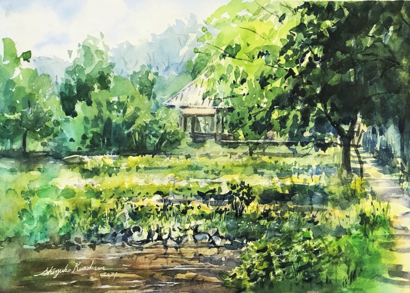 Twoucan ホルベイン透明水彩絵の具 の注目ツイート イラスト マンガ コスプレ モデル