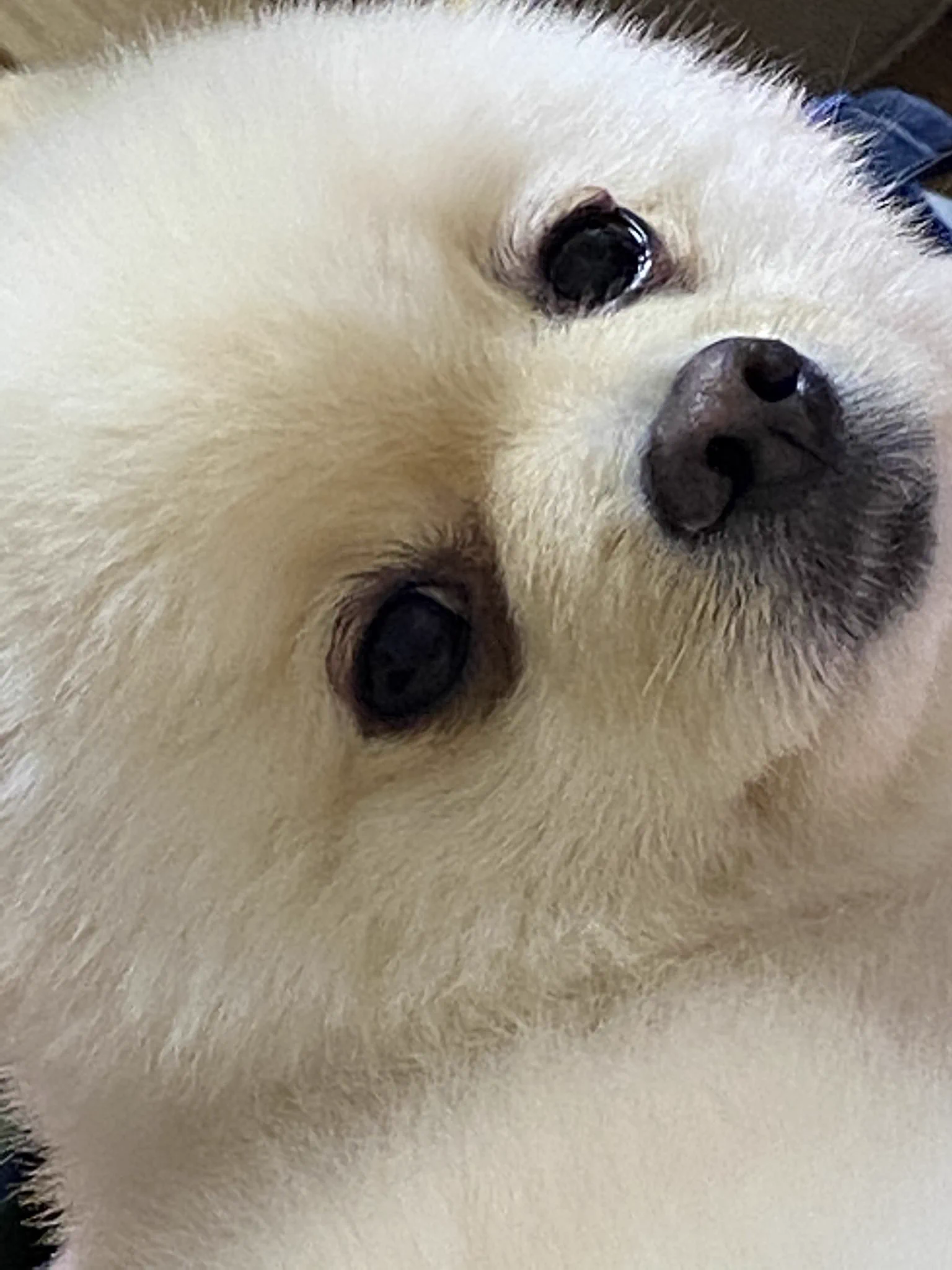 @jyouu1120 何❓笑 