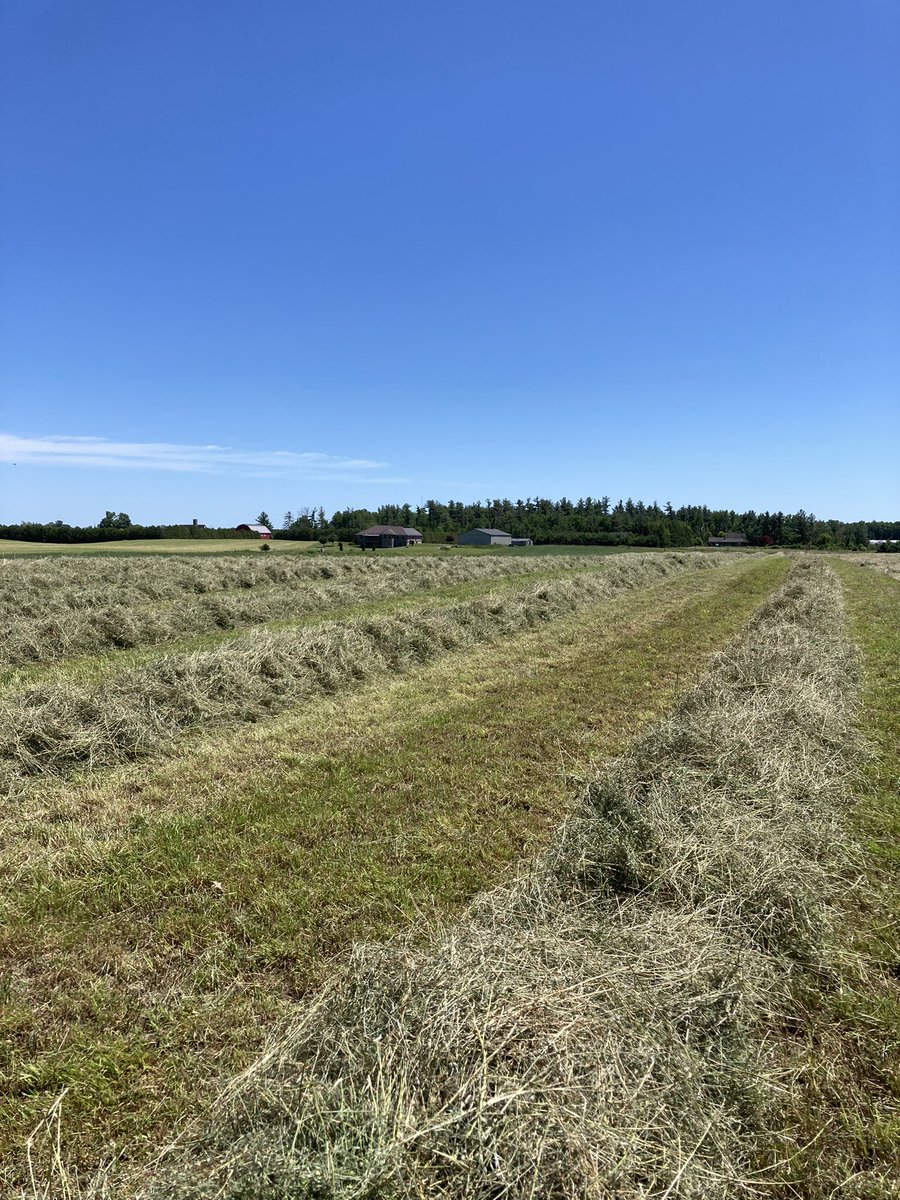 Willmorris7Will's tweet photo. You know you are in #thefolk, when you go to rake up hay and come away with a jar of the good stuff #shine 😆😆😎😎🔨⬇️ https://t.co/8fiC6IiH3u