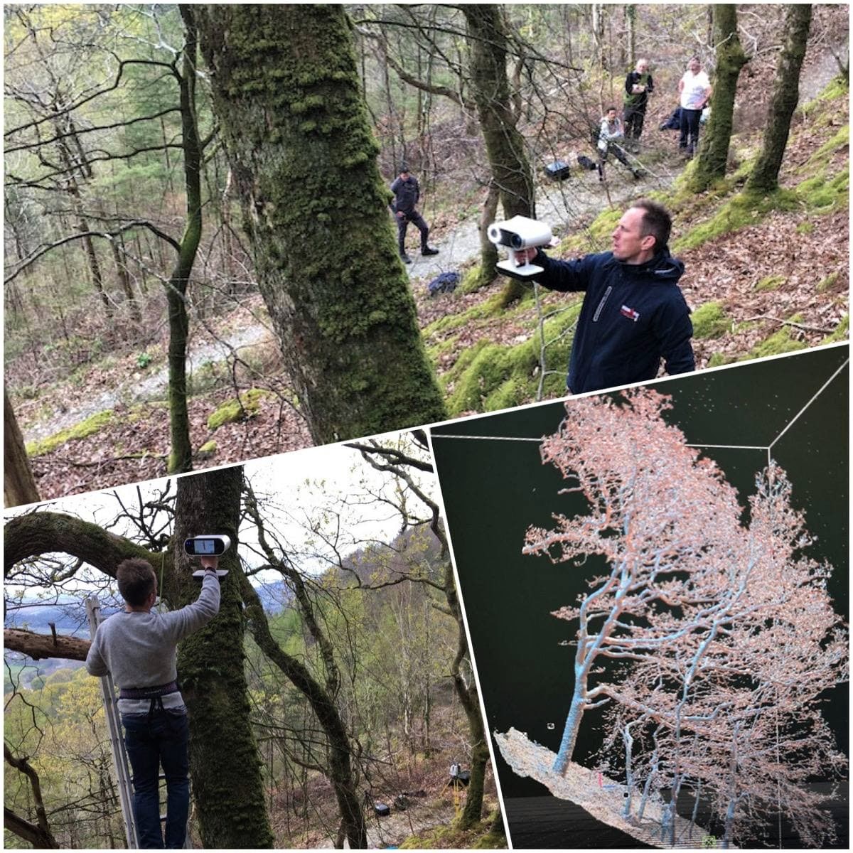 Artist Robert Davies partnered with <a href="/Europac3d/">Europac3D</a> to scan and cast a Ceredigion oak tree in the beach's intertidal zone. The integration of 3 different technologies allowed to visually represent Earth past, as well as the effects of climate change ▶ europac3d.com/combination-3d…