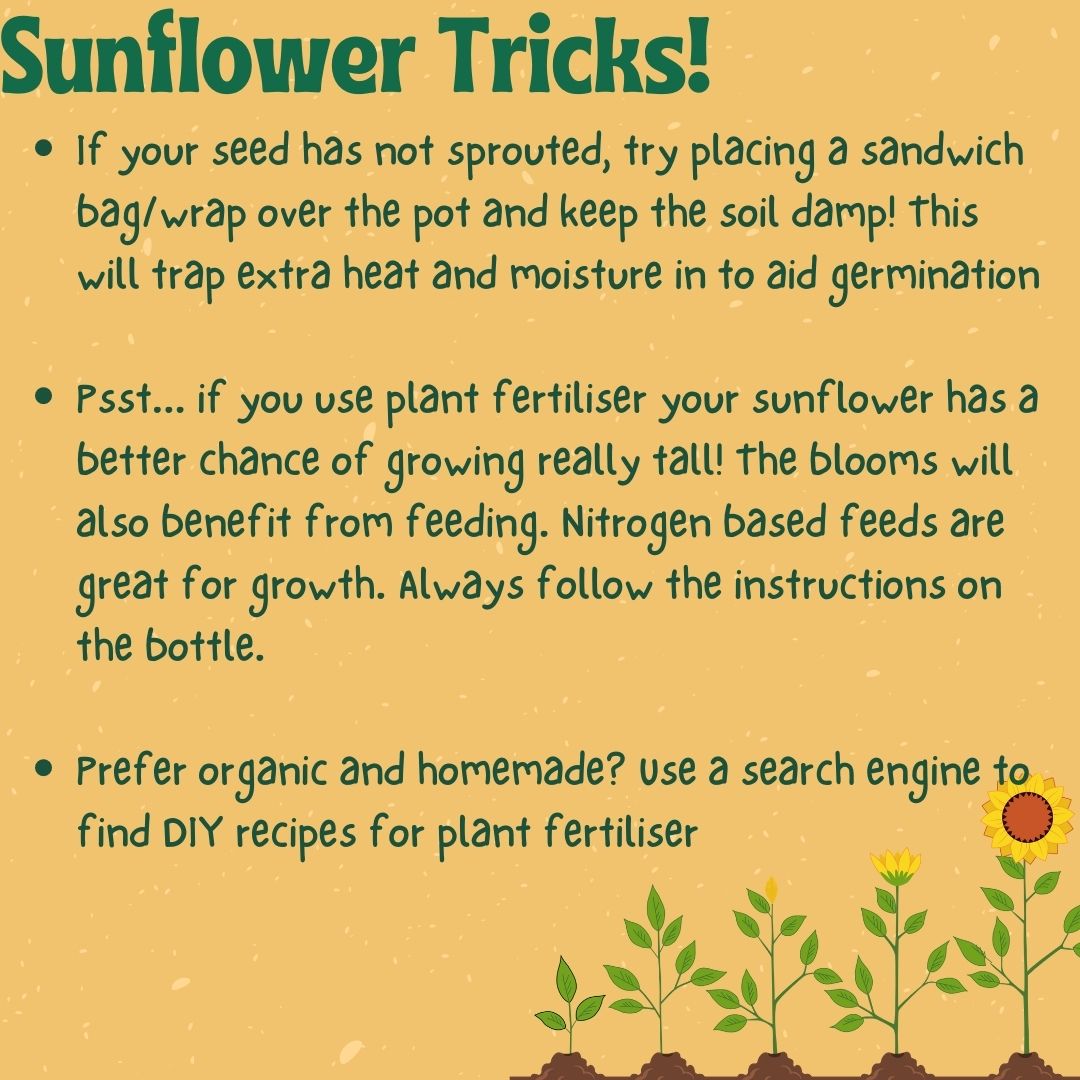 School of Childhood & Education #FE tweet media