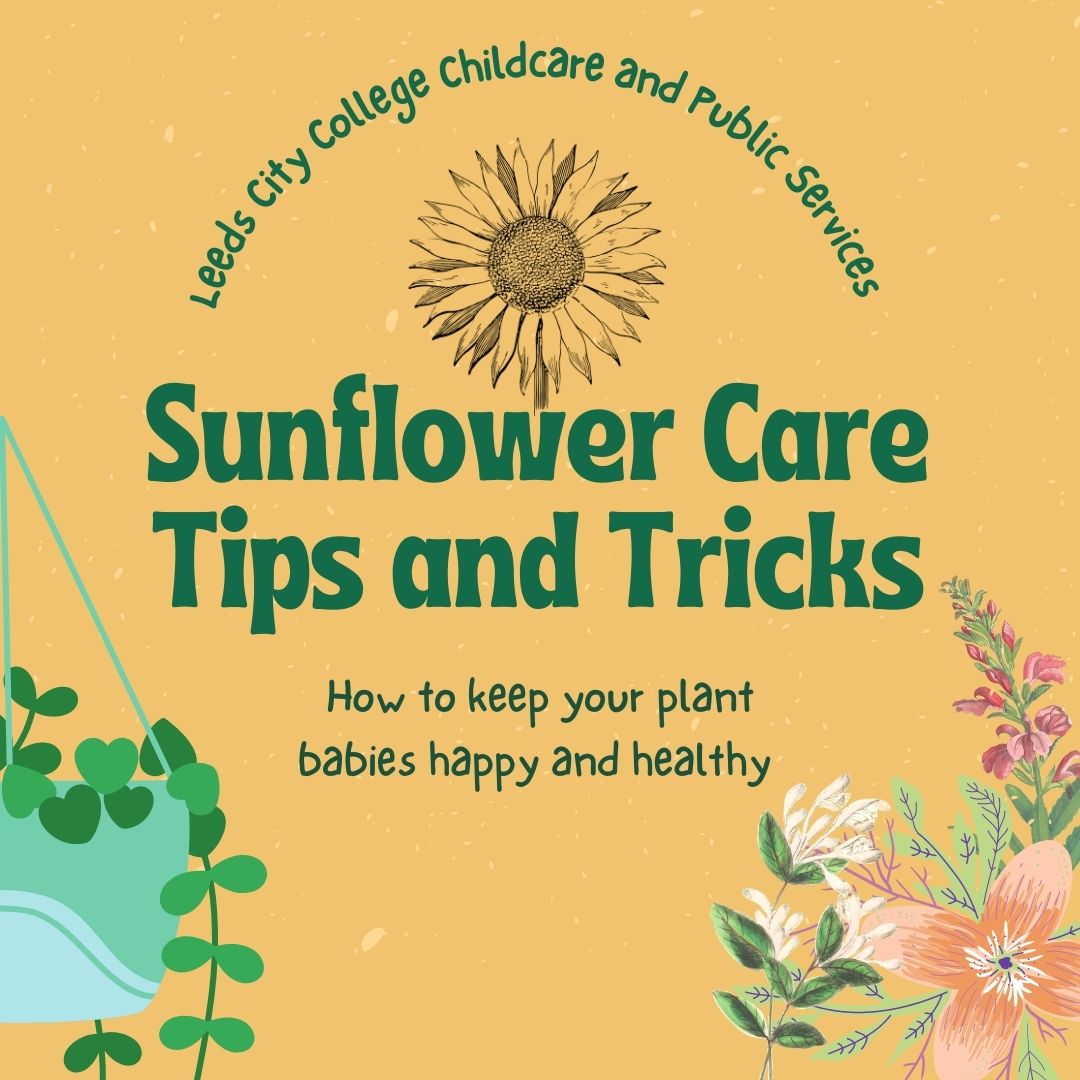 School of Childhood & Education #FE tweet media