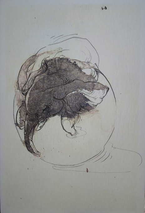 玉乗りのtwitterイラスト検索結果