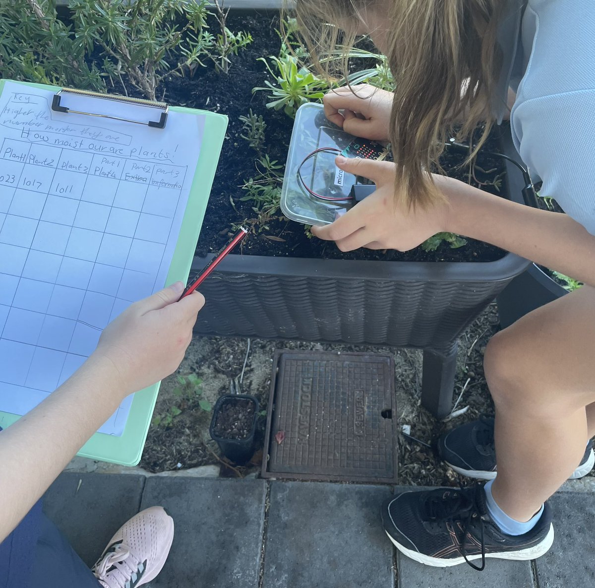 Young sustainability experts hard at work!  Trialling moisture sensors for their newly planted garden beds <a href="/microbit_edu/">Micro:bit Educational Foundation</a> <a href="/sheree_pudney/">Sheree Pudney</a> <a href="/YoungICTExplore/">Young ICT Explorers</a> #STEAM #GlobalGoals #sustainability #PurposefulPedagogies #girlswhocode  #WomeninSTEM