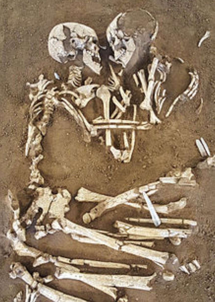 and here it is, our final night alive.