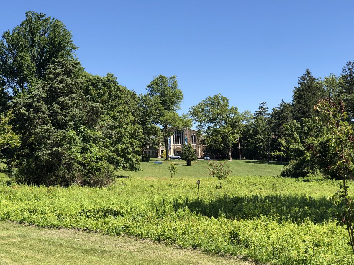 rikdugan's tweet photo. Just kind of beautiful @PrincetonAcadSH #PASHSummerStories #PASHProud #HeCanBe https://t.co/0SNJEeiVE3