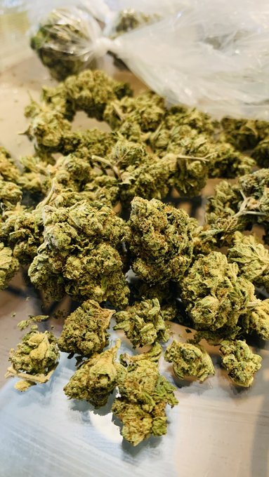 I&rsquo;m on the go we need to go https://t.co/jewrH4Nnb6