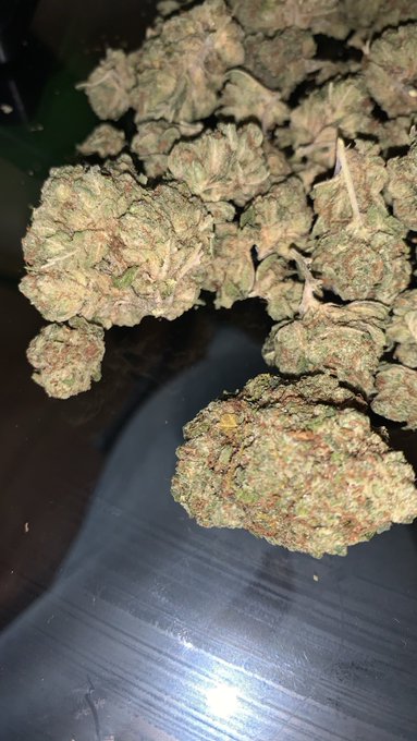 I&rsquo;m on the go we need to go https://t.co/jewrH4Nnb6